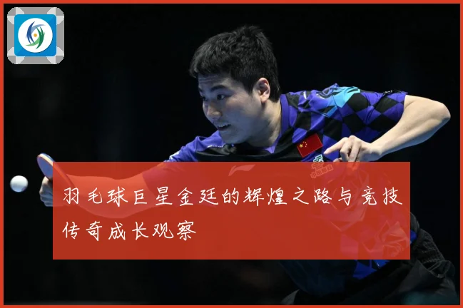 羽毛球巨星金廷的辉煌之路与竞技传奇成长观察